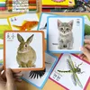 144 Słowa Cognition Cards Kartę Zwierzę/Ruch/Owoc/warzywa Montessori Edukacyjne chińskie angielskie karty flash dla 3-6 dzieci L230518