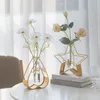 花瓶クリエイティブテストチューブ小さな花瓶の装飾リビングルームホームデスクトップフラワーオーナメント230701