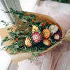 Flores secas dia das mães buquê de flores presente de aniversário dos namorados rosa girassol para a mãe plantas naturais para decoração de casa