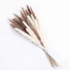 Dried Flowers 15Pcs Natural Reeds Bunch Small Grass DIY Wedding Supplies Bouquet Photography Props Christmas Home Decoration