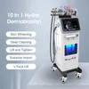 10 I 1 Hydra Dermabrasion Microdermabrasion Bubble Oxygen Ansiktsmaskin Skinvård Djup Rengöring Föryngringsanordning