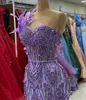 Aso ebi lavendel mermaid prom jurk kristallen veeravond formeel feest tweede receptie verjaardag bruidsmeisje verlovingsjurken jurken robe de soiree zj683 407 407