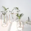Vases nordique créatif Vase décor à la maison verre doré porte-plante hydroponique ligne de fer fleurs ornement décoration de jardin 230701