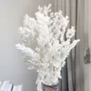 Flores secas, hermosa decoración blanca para el hogar, ramo de flores de Hortensia preservado en seco Natural para arreglo de boda bohemio, decoración 230701