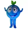 Performance Friuts Blueberry Mascot Costumes Halloween Fancy Party Dress Personaggio dei cartoni animati Carnevale Natale Pasqua Pubblicità Festa di compleanno Costume Outfit