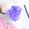 Torkade blommor 90100g Natural Immortal Anna Hortangea Flower DIY Handmased Bouquet Material Wedding Decoration 230701