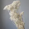 Flores secas, hermosa decoración blanca para el hogar, ramo de flores de Hortensia preservado en seco Natural para arreglo de boda bohemio, decoración 230701