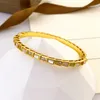 Designer Armbanden Snake armband Gipskruid goud zilveren armbanden voor mannen vrouwen ontwerpers klassieke armbanden sieraden bruiloft verjaardagscadeau met hoge kwaliteit