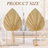 Decoratieve objecten Figurines 8pcs Gedroogde palmbladeren Decoraties Trimed Spear Fans Tropical Wedding Flowers Boho Decor 230701