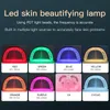 Factory Price New 7 Color Skin Tightening Nano Spray Facial Panel Face Mask Pdt Led Light Therapy Device With Steamer