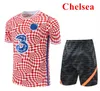 2023 Enzo CFC Soccer Jersey Racing Sweatshirt Training Set Camisa de manga curta 23 24Chelse Football Shirt Conjunto de manga curta novo