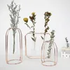 Vases nordique créatif Vase décor à la maison verre doré porte-plante hydroponique ligne de fer fleurs ornement décoration de jardin 230701