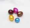 真珠のパッケージングエパケット付きパールカキのパールオイスターのパールパーティーカキの中に染色された天然真珠が染色された新しいカキ