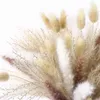 Dried Flowers 45pcs Grass DIY Small Reed Plants Premium Bouquet With Naturally Pampa For Home Decor Wedding Decoration