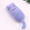 Dents meulage jouets interactif en peluche chat jouet animal de compagnie chaton mâcher griffes pouce morsure chat menthe pour chats drôle petit oreiller