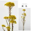 Fleurs séchées 45-50cm, plante naturelle, fleurs conservées, Bouquets de Millet immortel frais, cadeau pour décoration de maison, décoration de fête de mariage