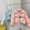 Las mujeres de otoño e invierno, además de una chaqueta de plumón con cuello alto esponjoso, la chaqueta de manga se puede quitar, el chaleco de abrigo se usa dos, el color tierno muestra vitalidad juvenil.