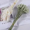 Fleurs séchées 30 pièces Bouquet naturel décoration de mariage gemme herbe cour et jardin décor à la maison accessoire de photographie