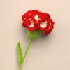 Dried Flowers Creative Mother's Day Knitting Flower Handmade Carnation Crochet Hand Artificial Fake Bouquet