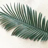 Fiori secchi 10 pezzi Foglie artificiali Piante di simulazione Foglia di palma finta Verde per disposizione floreale Accessorio Parte 230701