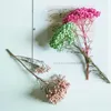 Dried Flowers Grams Handmade DIY Eternal Life Millet Flower Bouquet Materials Made Of Scented Candles Hanging Home Decorations Car