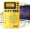 Radio numérique Fm Portable Dab/dab +/fm, démodulateur de récepteur de Radio numérique avec écran Lcd de 1.5 pouces, batterie 1000mah