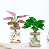 Planters Pots Nordic Plants Hydroponic Flower Crystal Decoration Accessories For Home Room Decor Glass R230614