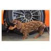 Chien Vêtements Automne Hiver Vêtements Pour Animaux À La Mode Lettre Broderie Chiot Chandail Luxurys Designers Clohes Marron Sizexs-Xxl 2021 Dhs Dhbzu