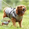 マグネットVIP犬の服ジャケット小さな中程度の大きな犬冬の温かい犬のコスチュームフレンチブルドッグペット服