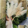 Decorative Flowers Wreaths 120Cm Natural Dried Flower Reed Pampas Grass Boho Home Decor Decorations Farm Background Drop D Dhcbm