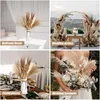 Torkade blommor 60st Natural Flower Oats Grass Bouquet Home Dekorera Arrange Party Decor Wedding Souvenirs för gäster