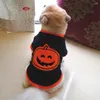 Hundkläder Halloweenfest Semester Pumpa Husdjurskostym för små hundar Fritidskläder Lilablå Färg Kostymer XS-L