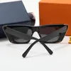 Luxus Designer Marke Sonnenbrille Designer Sonnenbrille 3033 Hochwertige Brillen Frauen Männer Brille Damen Sonnenbrille UV400 Objektiv UnisexeLDP #
