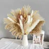 Dried Flowers 45pcs Grass DIY Small Reed Plants Premium Bouquet With Naturally Pampa For Home Decor Wedding Decoration