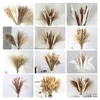 Dried Flowers 45pcs Grass DIY Small Reed Plants Premium Bouquet With Naturally Pampa For Home Decor Wedding Decoration