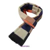 Bur Home Boutique Plush Scarf в продаже 2023 Новые мужские деловые повседневные корейские шарф осенний и зимний теплый имитационный шелк шелк