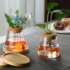 Planters Pots Nordic Plants Hydroponic Flower Crystal Decoration Accessories For Home Room Decor Glass R230614