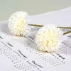 Suszone kwiaty 2PCS Dandelion Flower Ball Symulacja Bukiety sztuczna ściana fałszywa dekoracja domu trzymanie ślubne