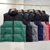 Colete NF colete masculino inverno designer de penas jaqueta masculina feminina parkas casaco à prova d'água para homens jaquetas sem mangas tamanho asiático S-3XL