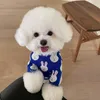 Pullover schöne Korea -Hundepullover für kleine mittelgroße Hunde süße Kaninchen -Print -Hunde Kleidung Chihuahua Pullover Haustiere Kleidung