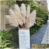 Decorative Flowers Wreaths 120Cm Natural Dried Flower Reed Pampas Grass Boho Home Decor Decorations Farm Background Drop D Dhcbm