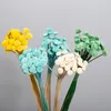 Fleurs séchées chrysanthème à boutons, 10 pièces, fleur fraîche, paquet de matériel de bricolage, Arrangement cadeau de haute qualité, décorations de mariage