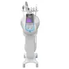 Oxygène Péler pelures de beauté faciale de beauté Oxygène Spray Machine faciale Microdermabrasion Machine faciale oxygène pour soin de la peau