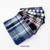 Top qualité hiver et automne Bur Home écharpe pour femmes hommes New Winter Imitation Cashmere Scarf Men's Women's Warm Neck Thick British Plaid