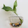 Planters POTS Flower Pot Glass Wall Hydroponic Tanks Potted Plant Flower Pot Dia 8CM/10CM/12CM R230614