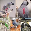 Other Bird Supplies Rope Flying Traction Straps Band Outgoing Leash Parrot Harness