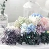 Flores secas velas cônicas de hortênsia adornam o natural de produtos imortalizados para casa e decorações de conforto parede ou mesa