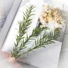 Dried Flowers Natural Plant Branches Melaleuca Gold Artificial Bouquet DIY Flower Material Home Wedding Christmas Backdrop Decoratio