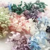 Dried Flowers Tapered Hydrangea Candles Adorn The Natural Of Immortalized Goods For Home And Comfort Decorations Wall Or Table