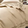 Set di biancheria da letto 100S Cotone egiziano Hollow Wide Edge Ricamo Luxury 4 pezzi Copripiumino con federa in lamiera piana color champagne